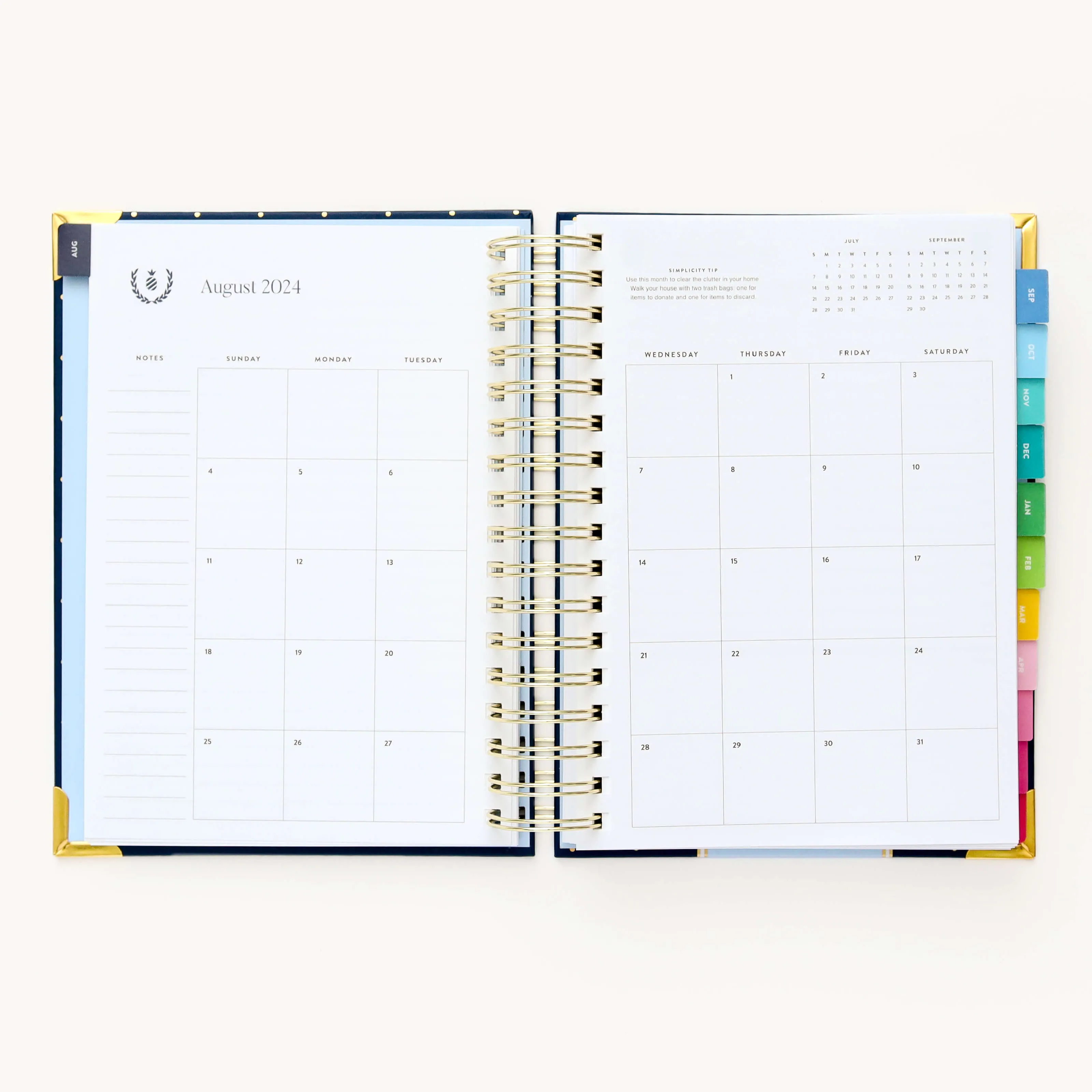 2024-2025 Daily Simplified Planner - Dainty Dot