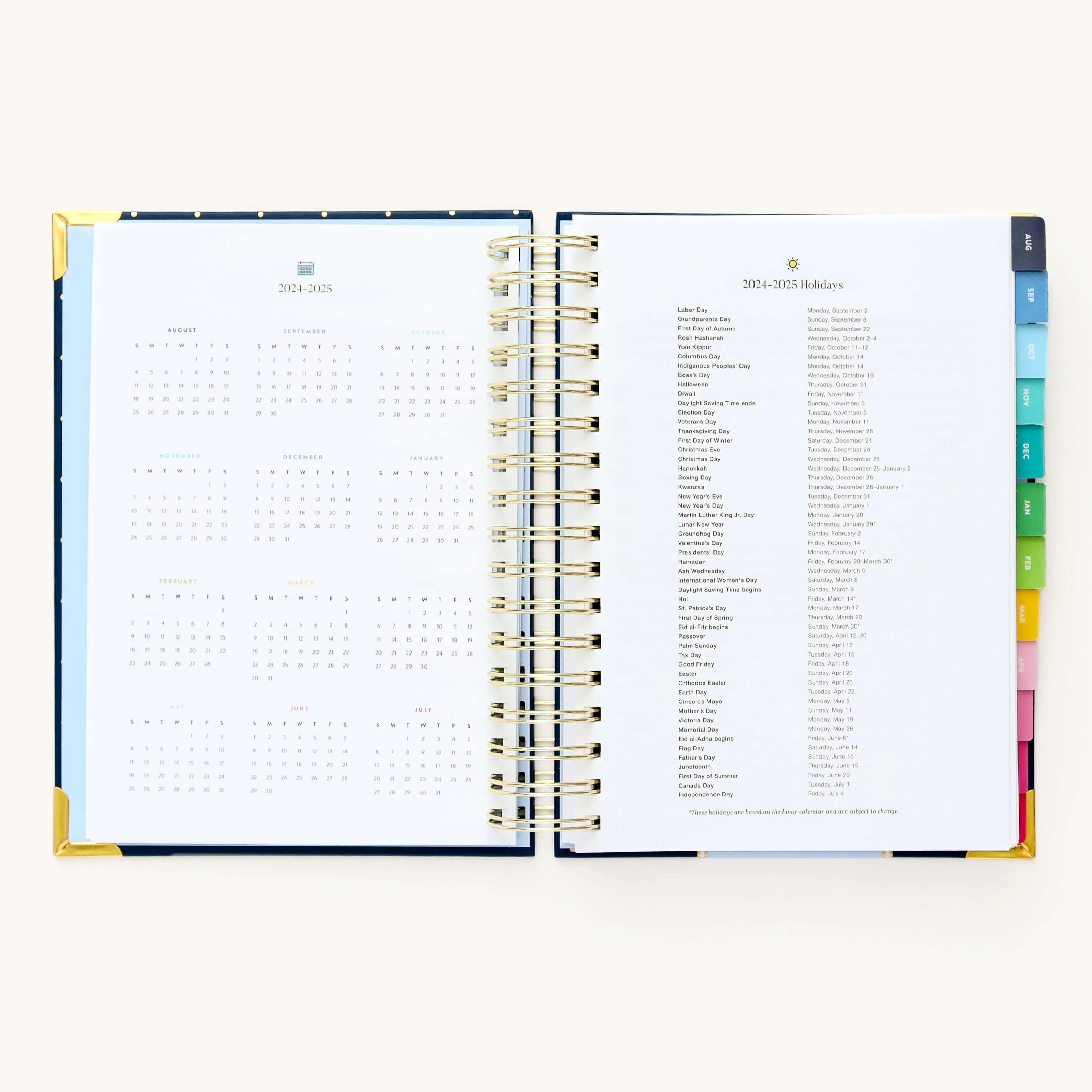 2024-2025 Daily Simplified Planner - Dainty Dot