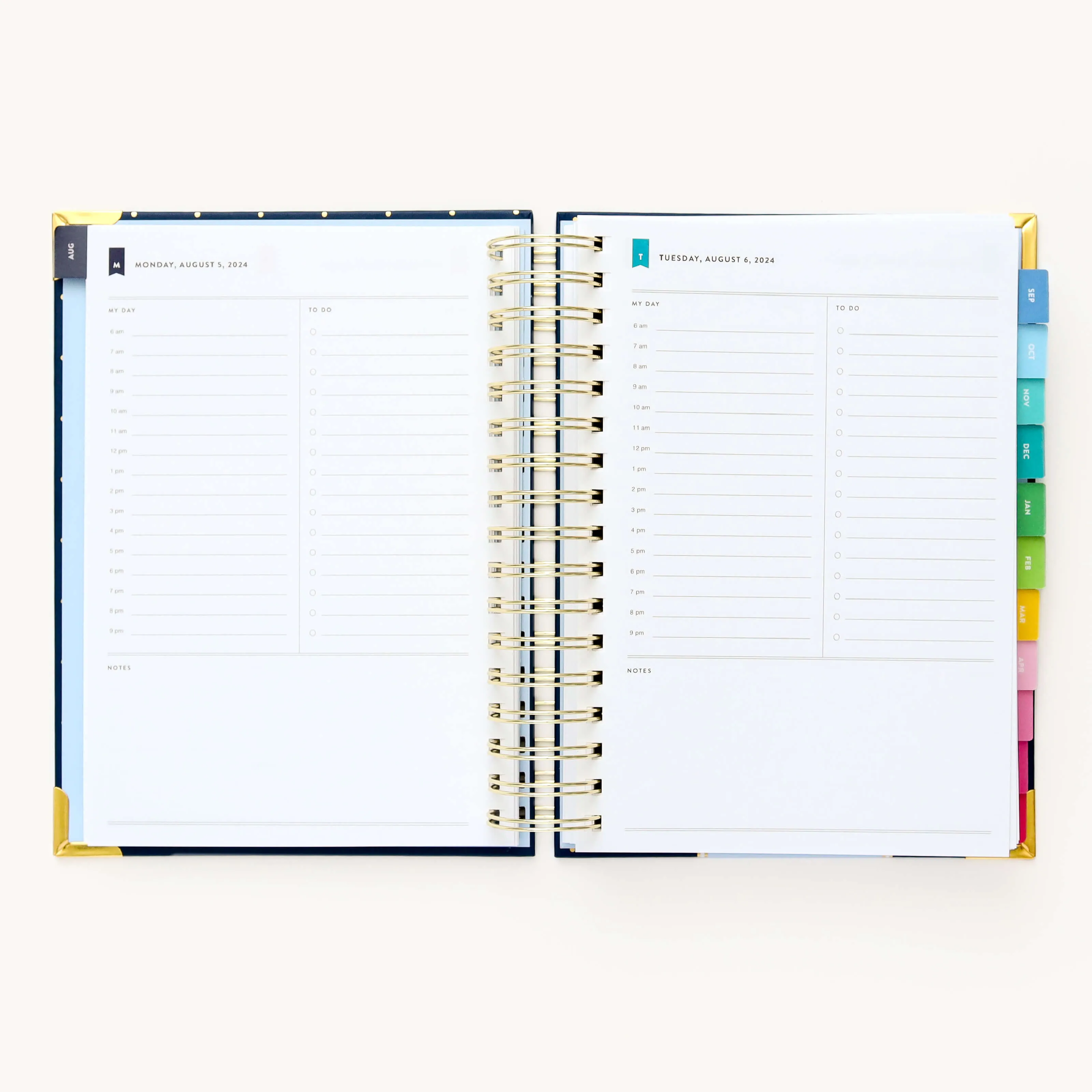 2024-2025 Daily Simplified Planner - Dainty Dot