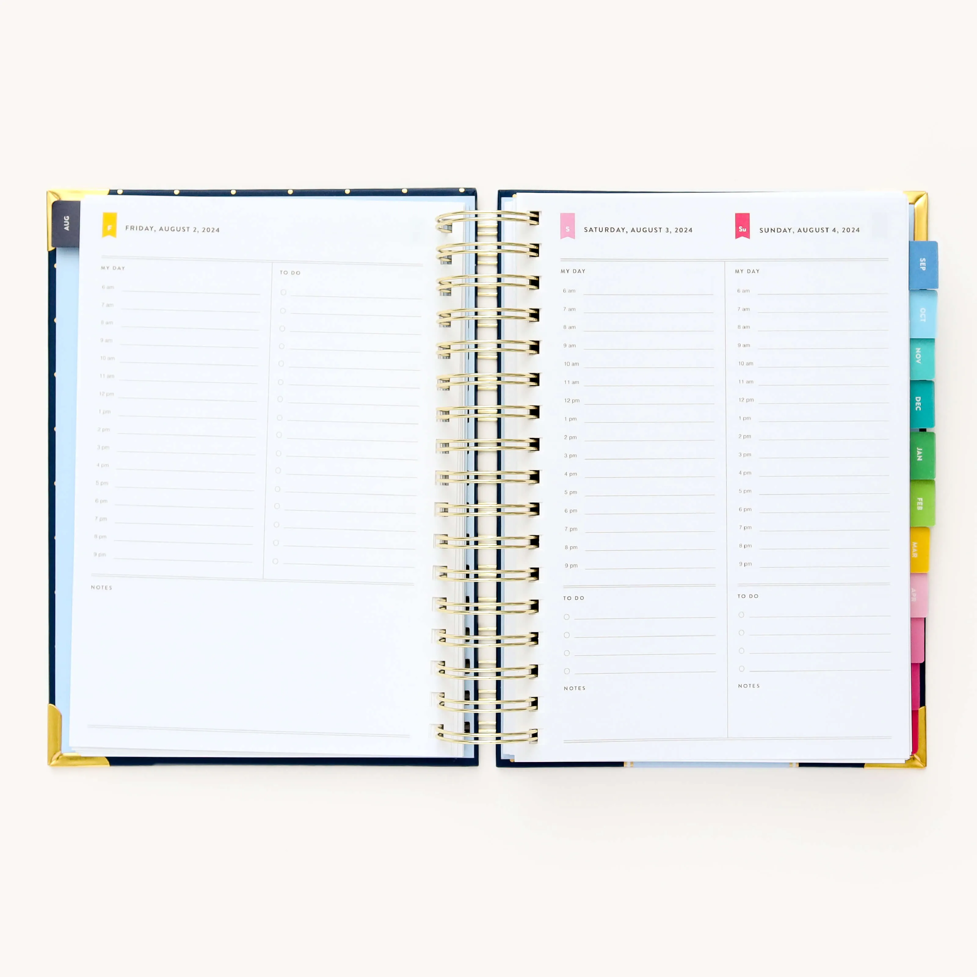 2024-2025 Daily Simplified Planner - Dainty Dot
