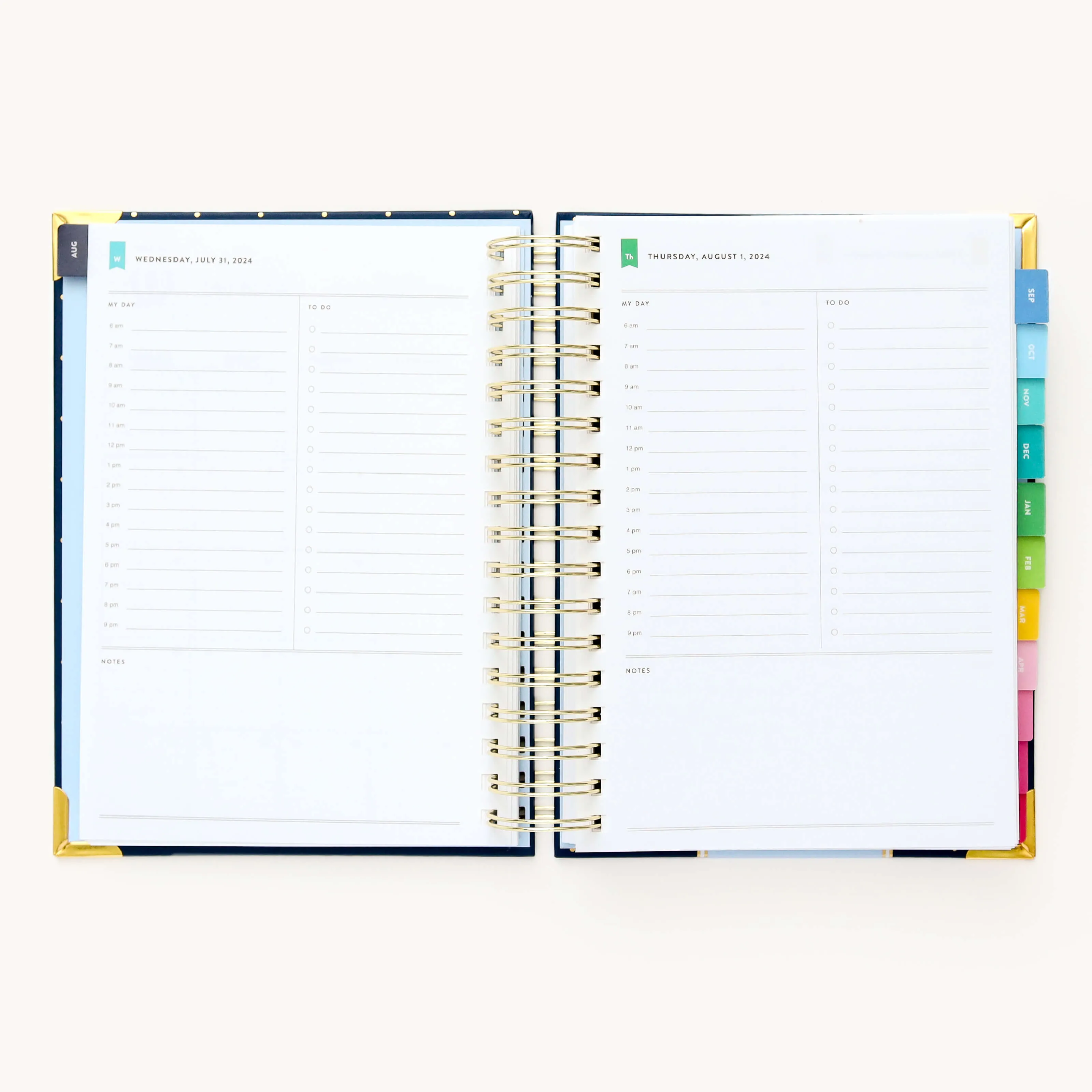 2024-2025 Daily Simplified Planner - Dainty Dot