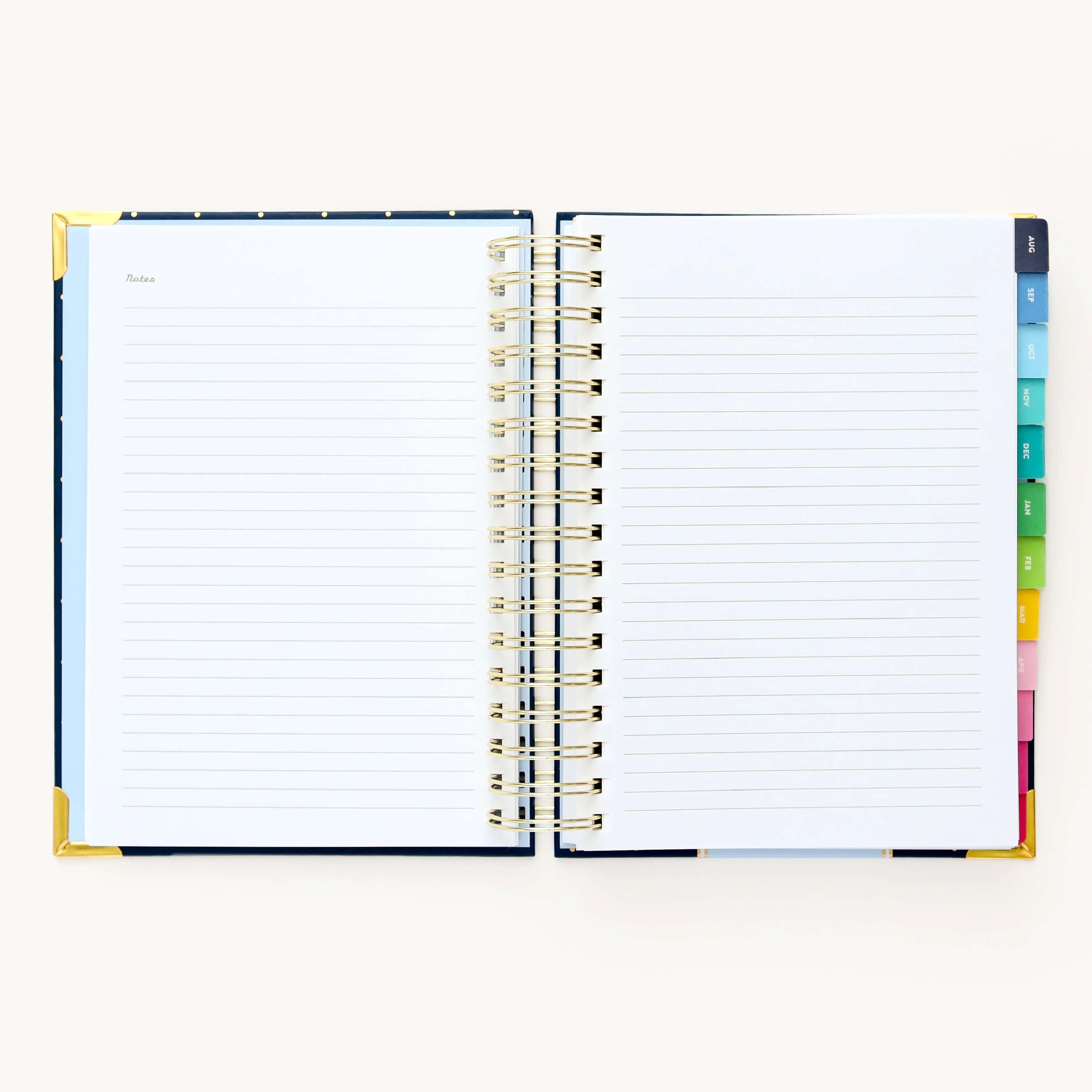 2024-2025 Daily Simplified Planner - Dainty Dot