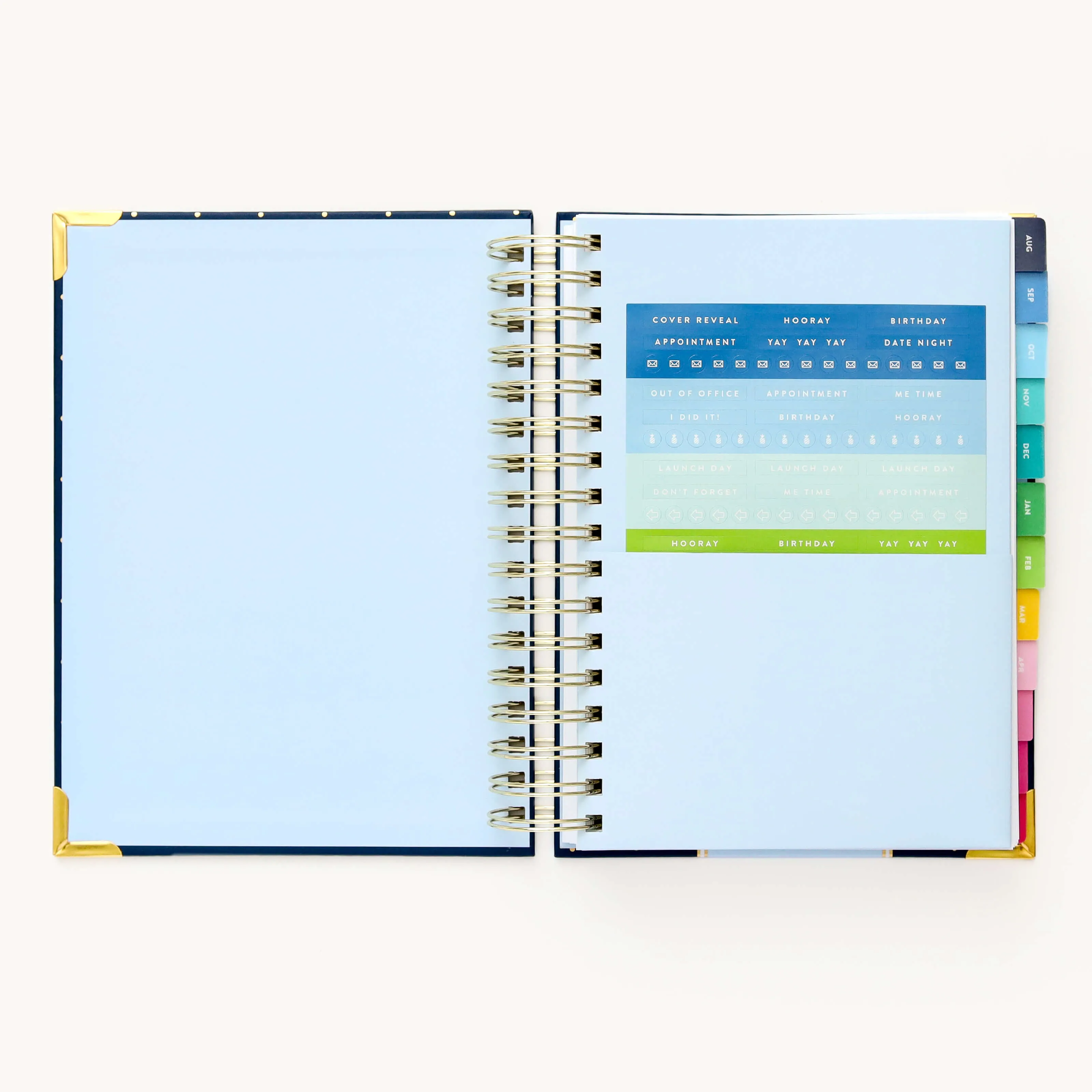 2024-2025 Daily Simplified Planner - Dainty Dot