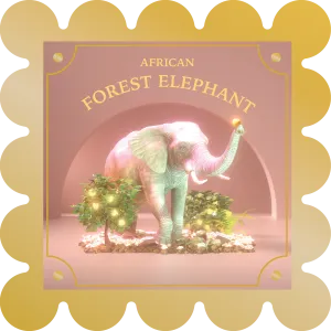 African Forest Elephant