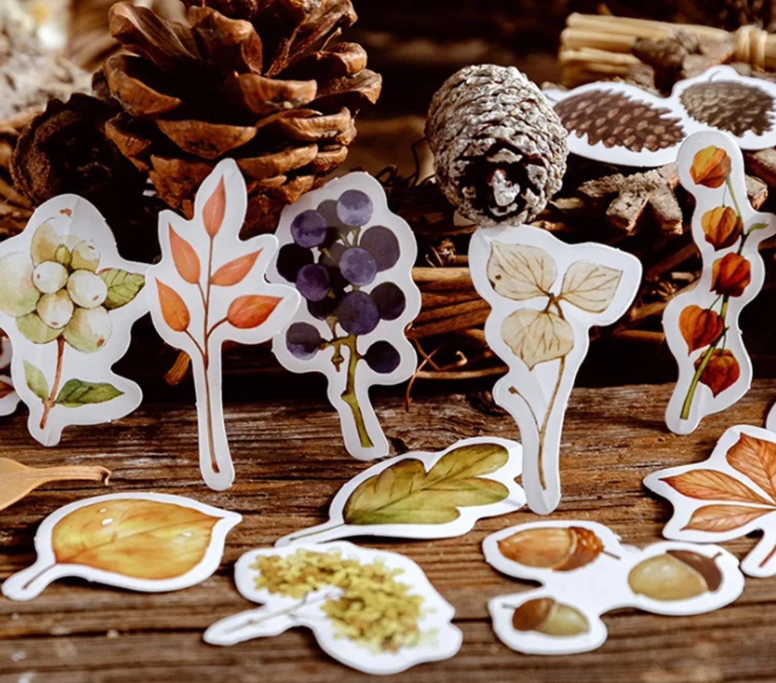 Autumn Forest Sticker Box