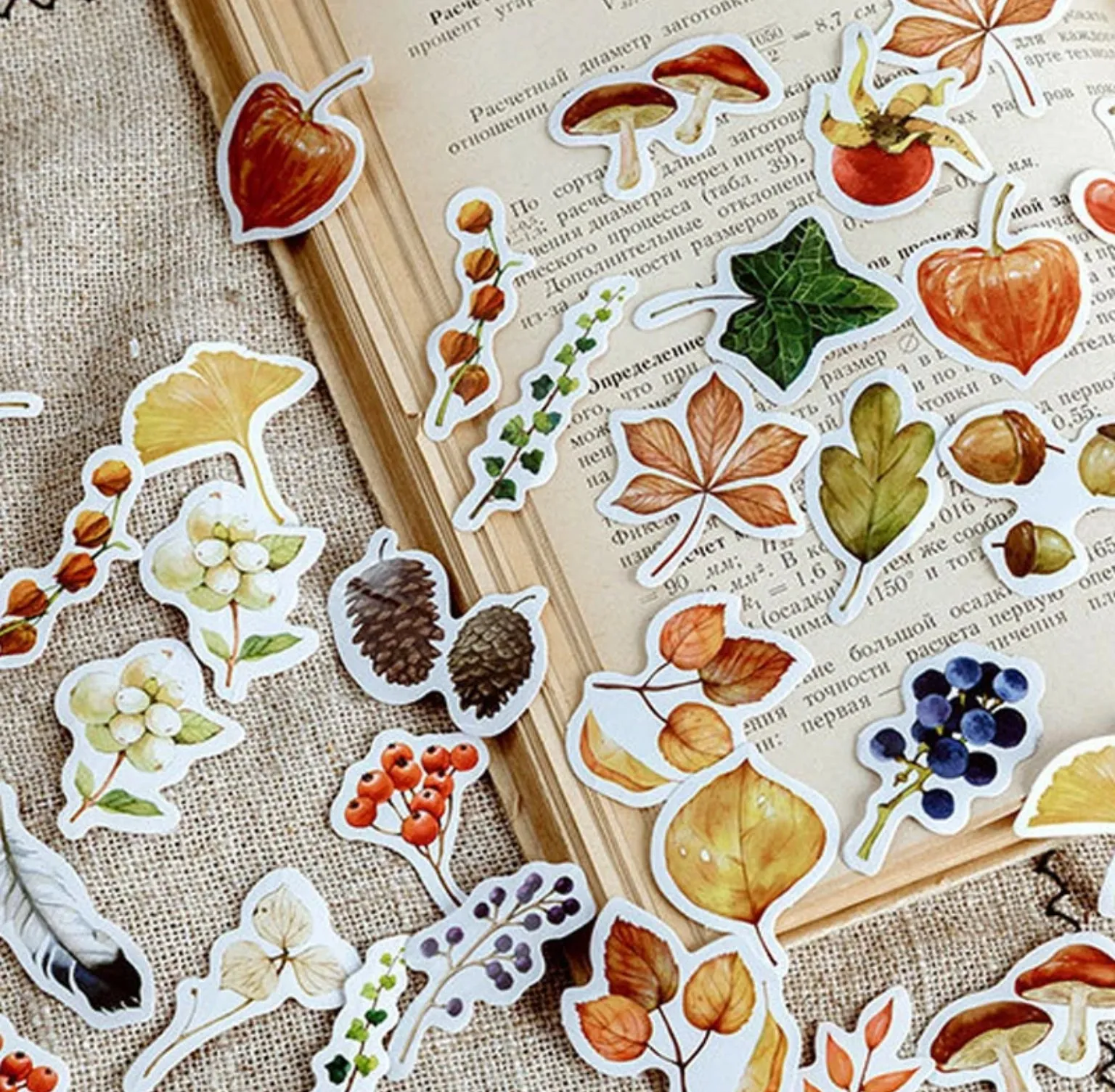 Autumn Forest Sticker Box