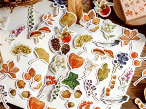 Autumn Forest Sticker Box