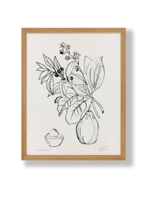 Avocado Botanical Print