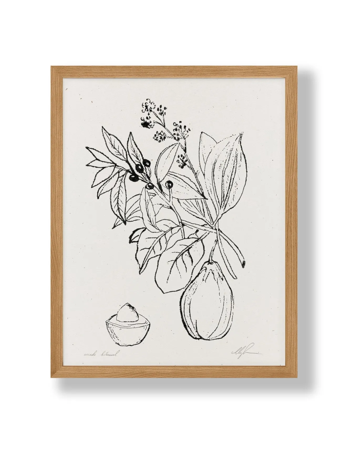 Avocado Botanical Print