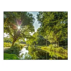 Basingstoke Canal in Countryside, UK