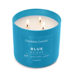 Blue Agave 14.5 oz Candle