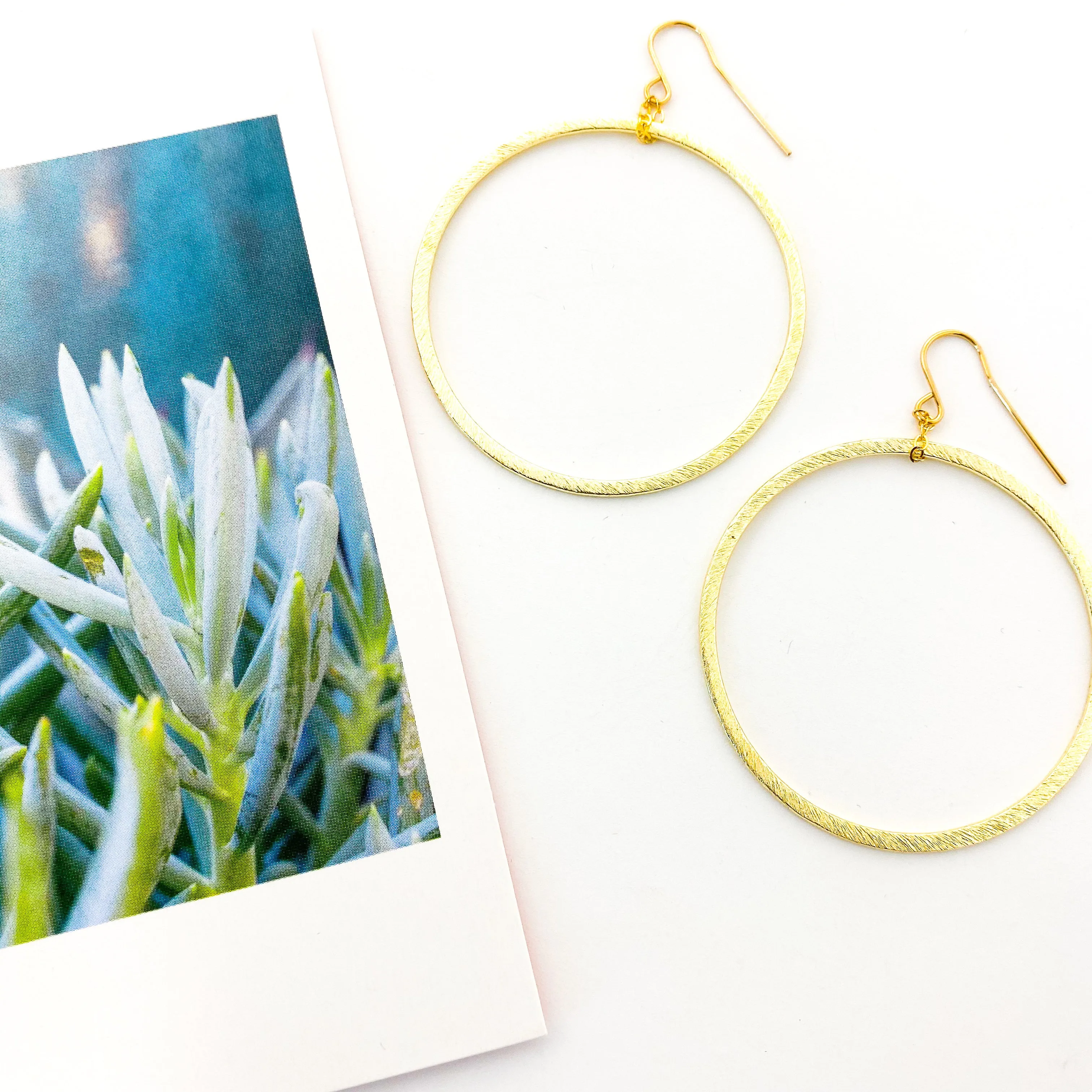 Chloe Hanging Brushed Hoop Earrings
