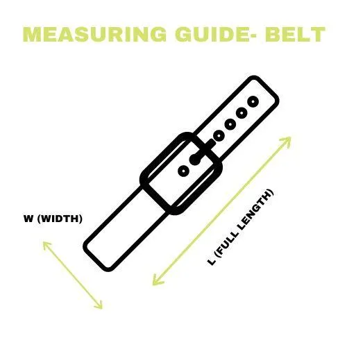 Fendi Black Buckle Belt