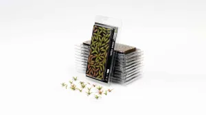 Gamer's Grass Laser Plants - Deer Fern
