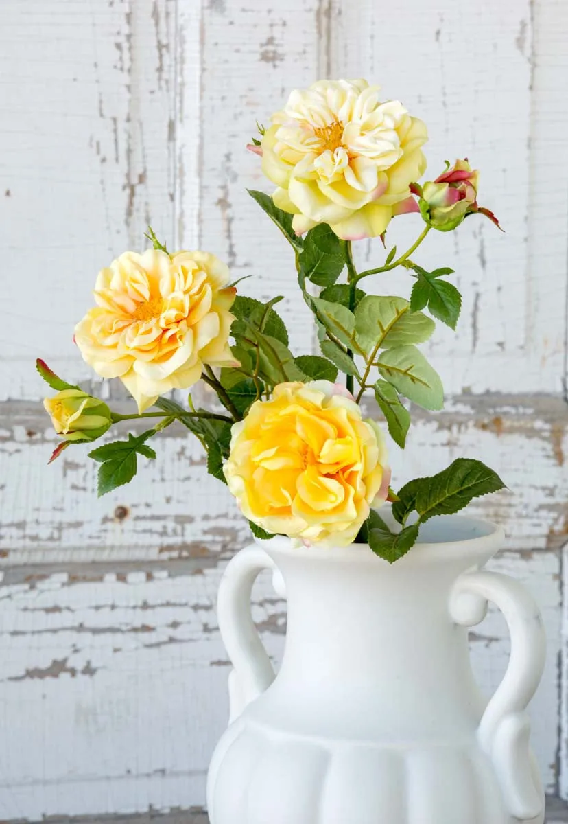 Gathered Yellow Garden Roses