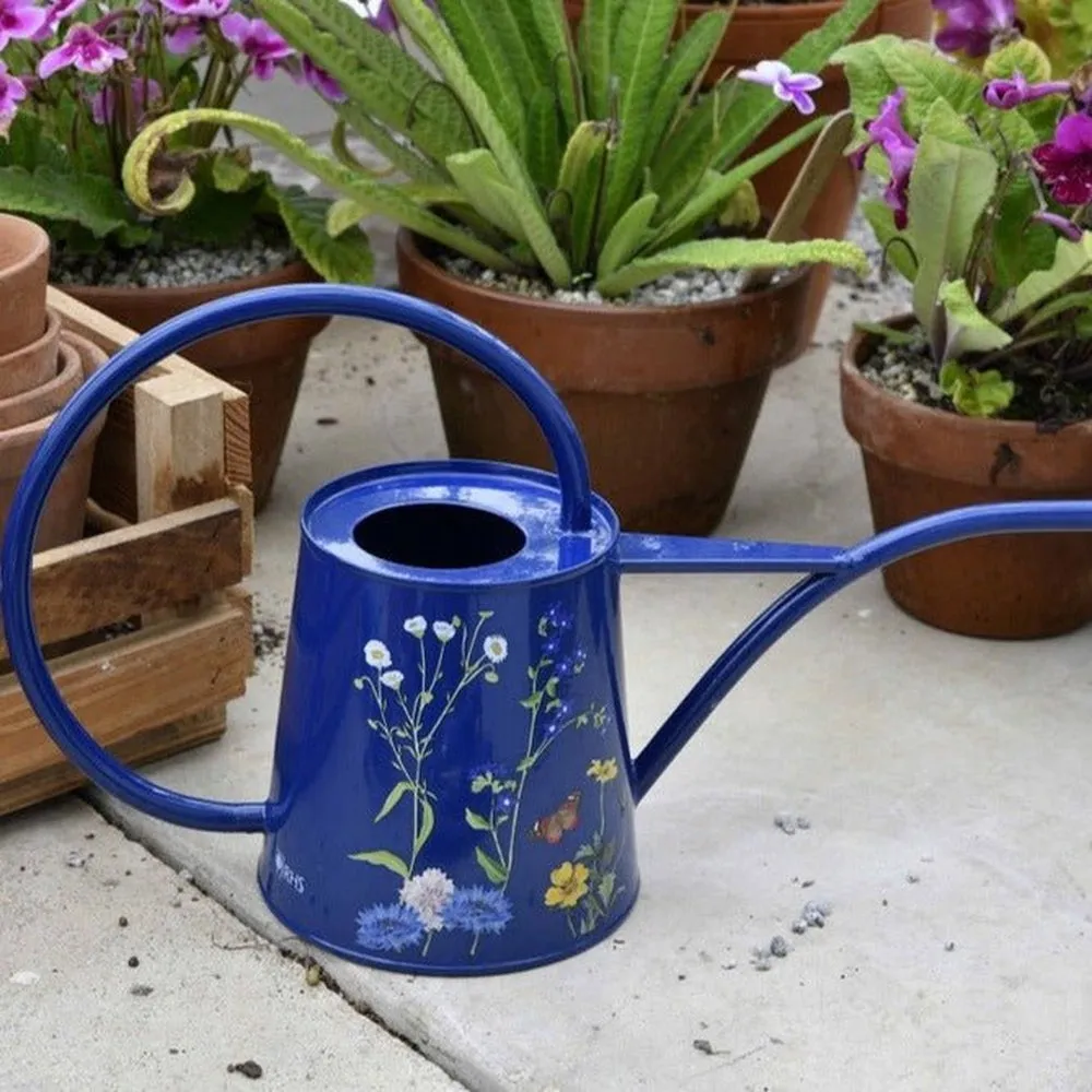 Indoor Watering Can - British Meadow