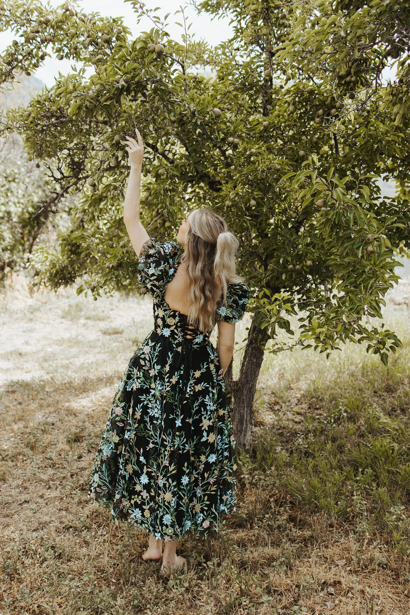 Into the Meadow - Black