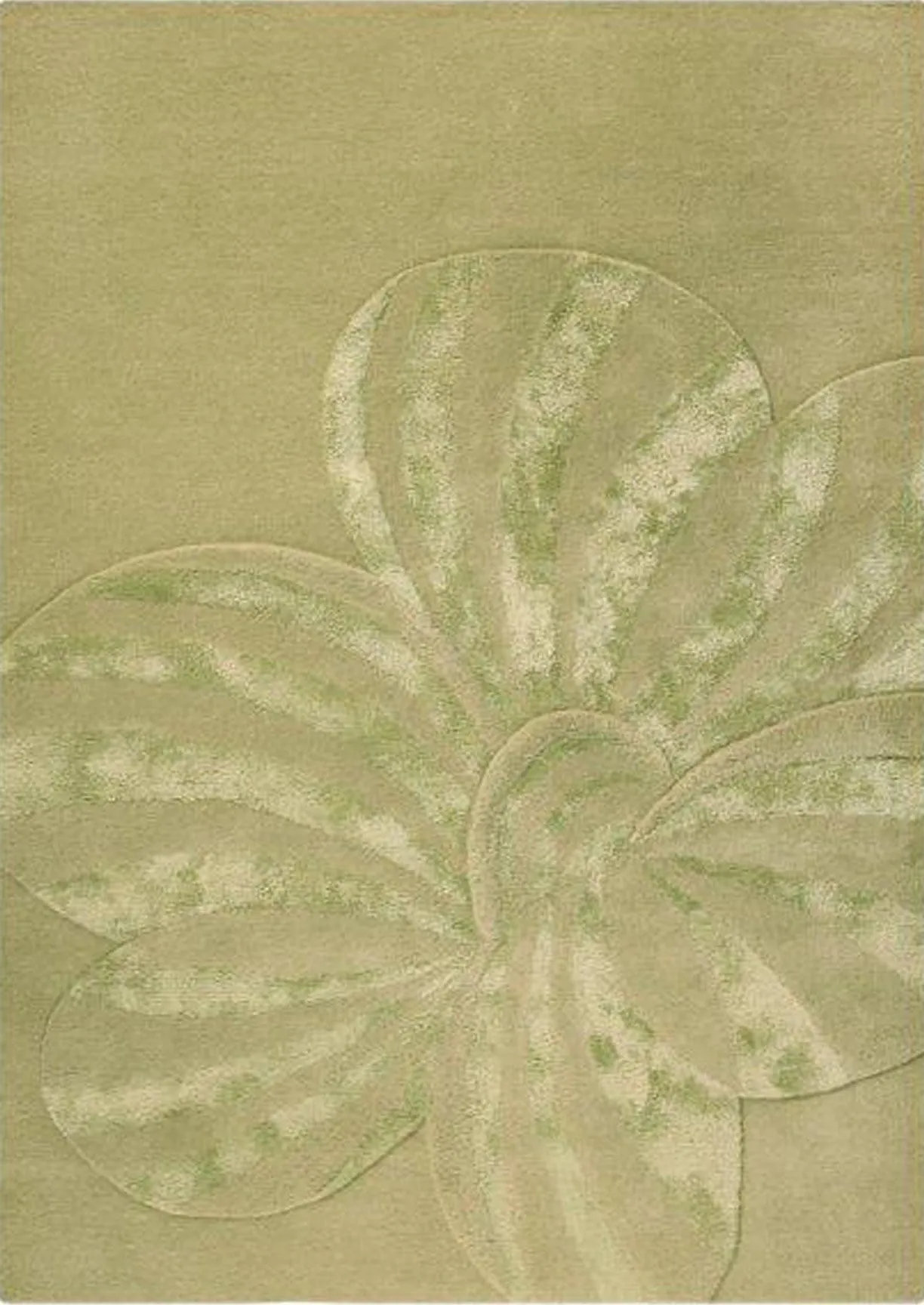 Jasmine Sage Sale