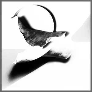 Laurence Bach: Nature Forms #2a