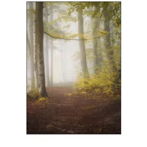 Lets Go for a Walk