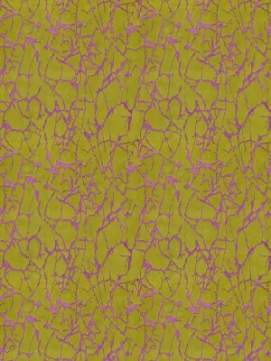 Library - Moss