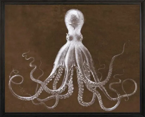 Lord Bodner's Octopus Brown - Natural Curiosities