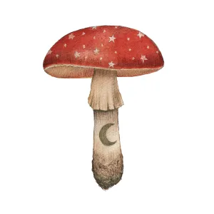 Mineral Mushroom: Ruby Print 5x7
