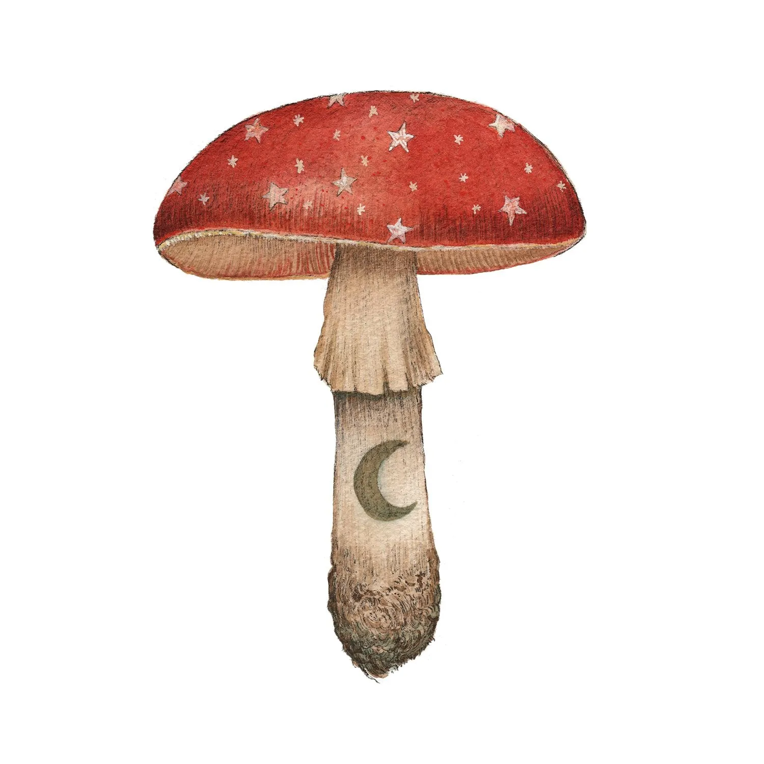 Mineral Mushroom: Ruby Print 5x7