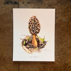 Morel Mushroom - Rosalie Haizlett