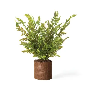 NAPA Home & Garden, FOREST FERN DROP-IN 15",TP207