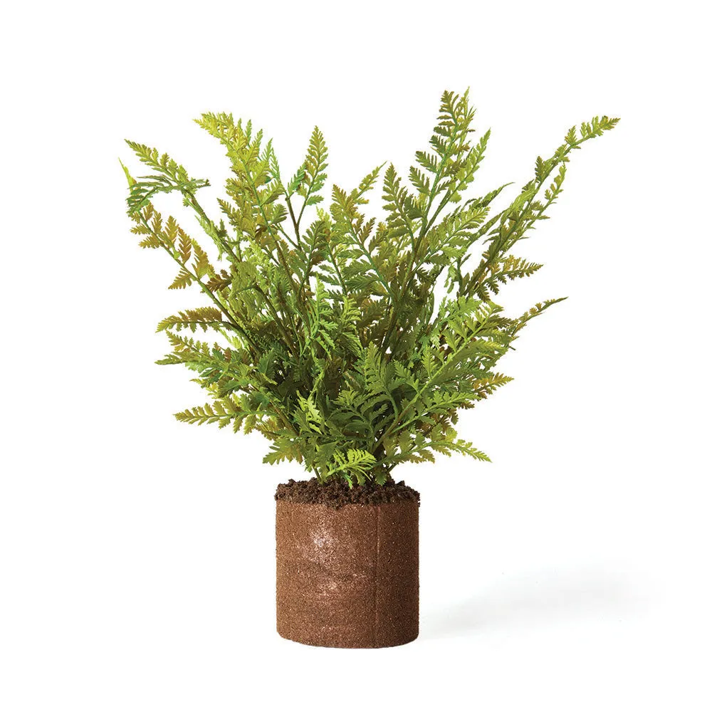 NAPA Home & Garden, FOREST FERN DROP-IN 15",TP207