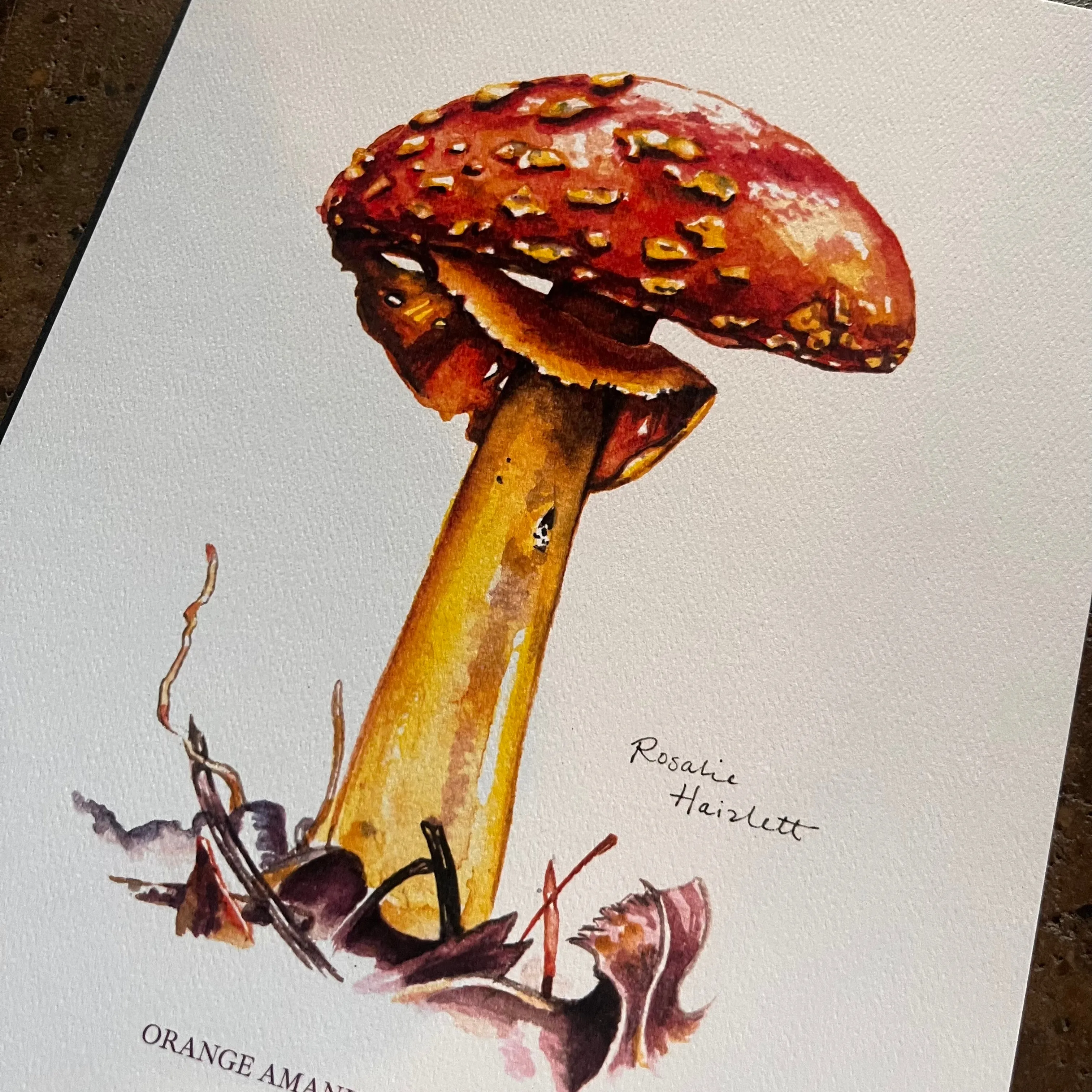 Orange Amanita Mushroom - Rosalie Haizlett