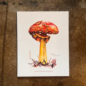 Orange Amanita Mushroom - Rosalie Haizlett