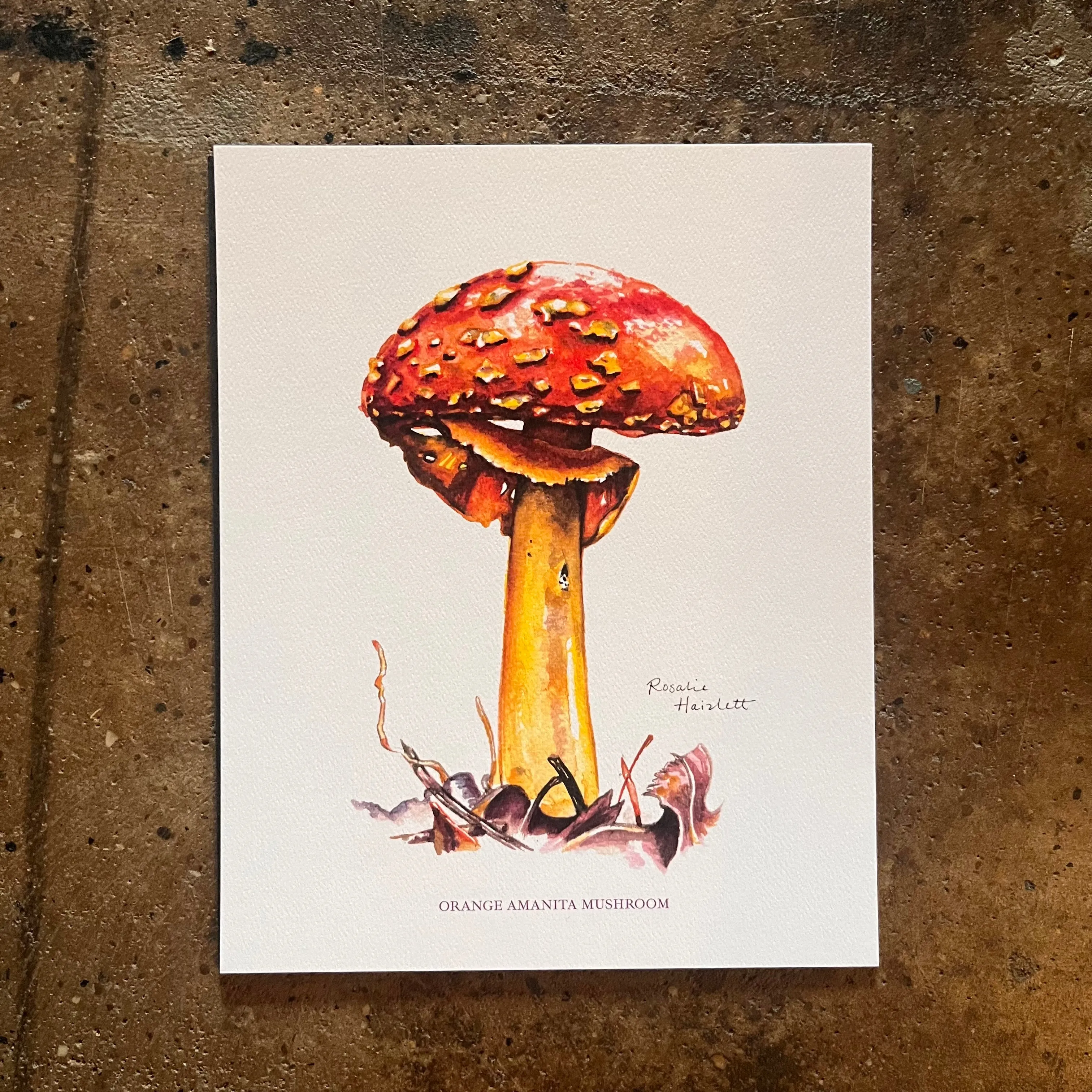 Orange Amanita Mushroom - Rosalie Haizlett