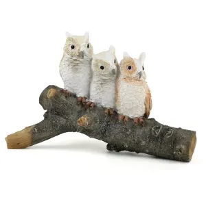 Owls on Branch