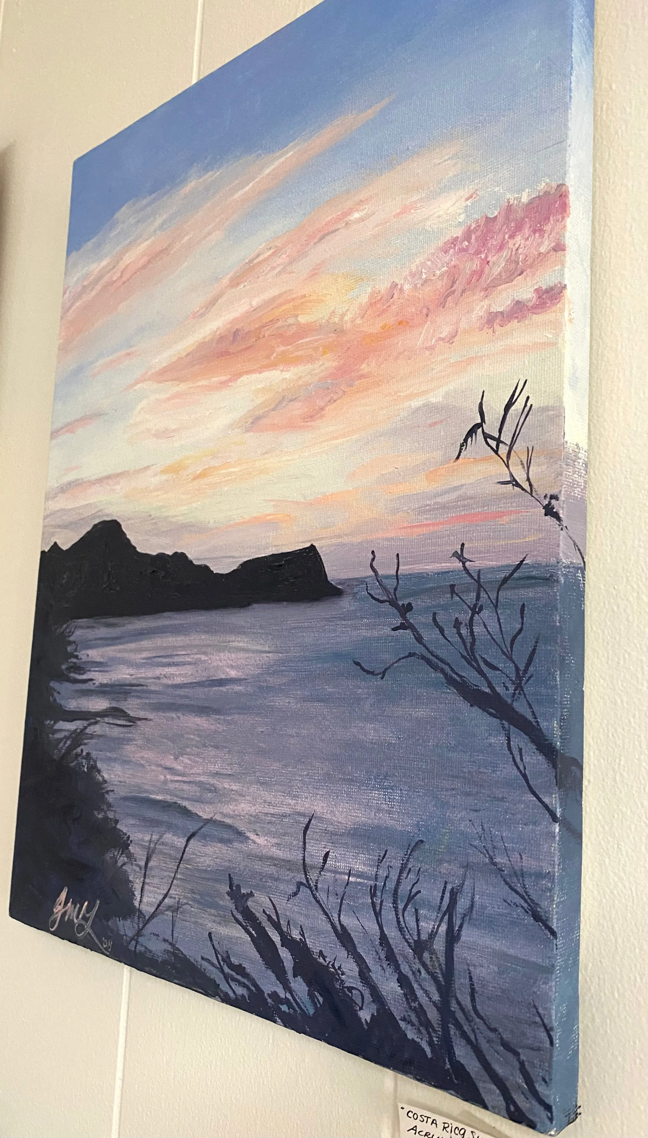Painting on Canvas “Costs Rica”