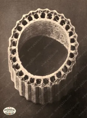 PDXC20169 -- Macro Sepia Plant Ring