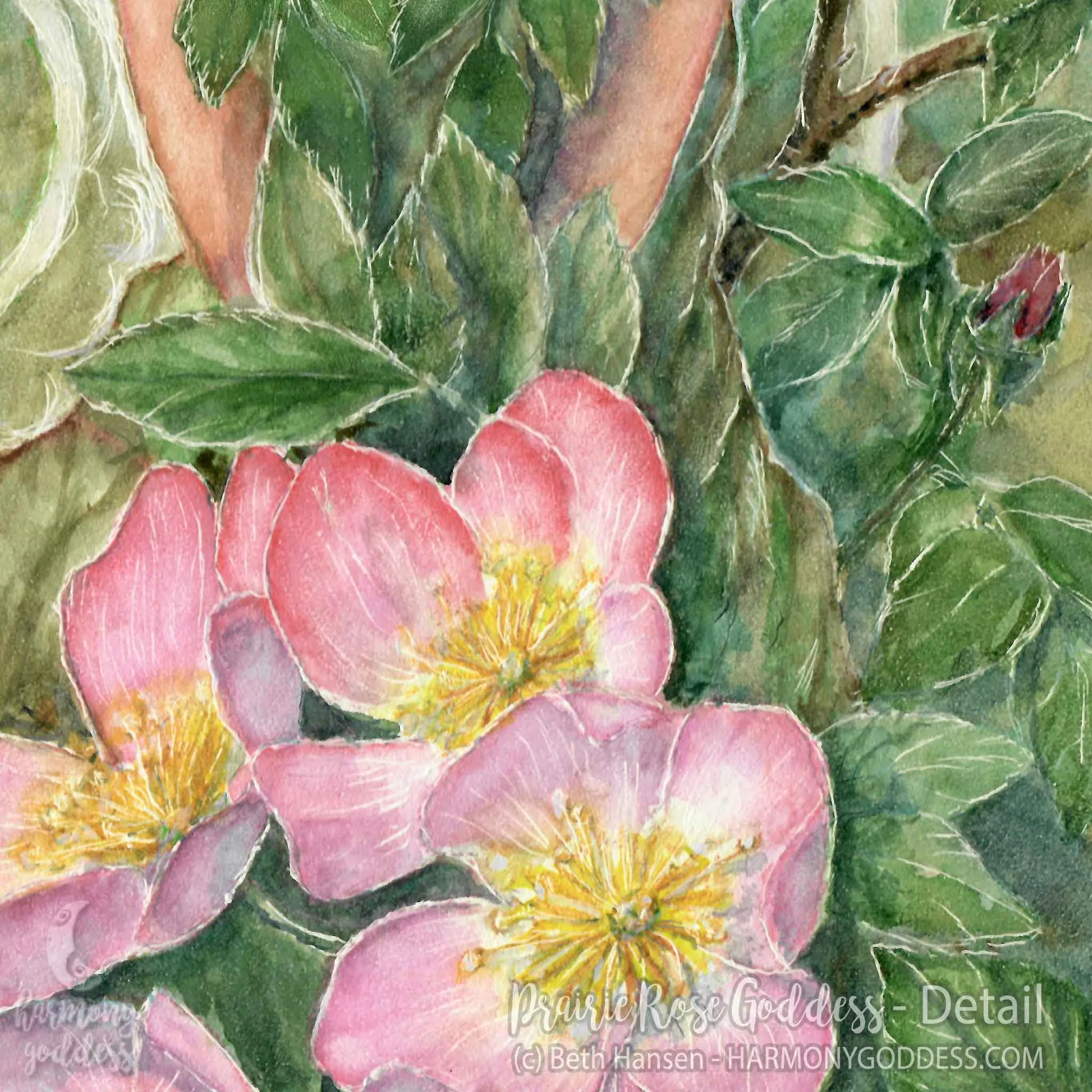 Prairie Rose Goddess Art Print