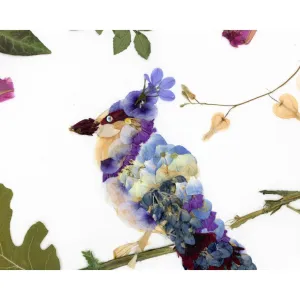 Pressed Blue Jay Art Print