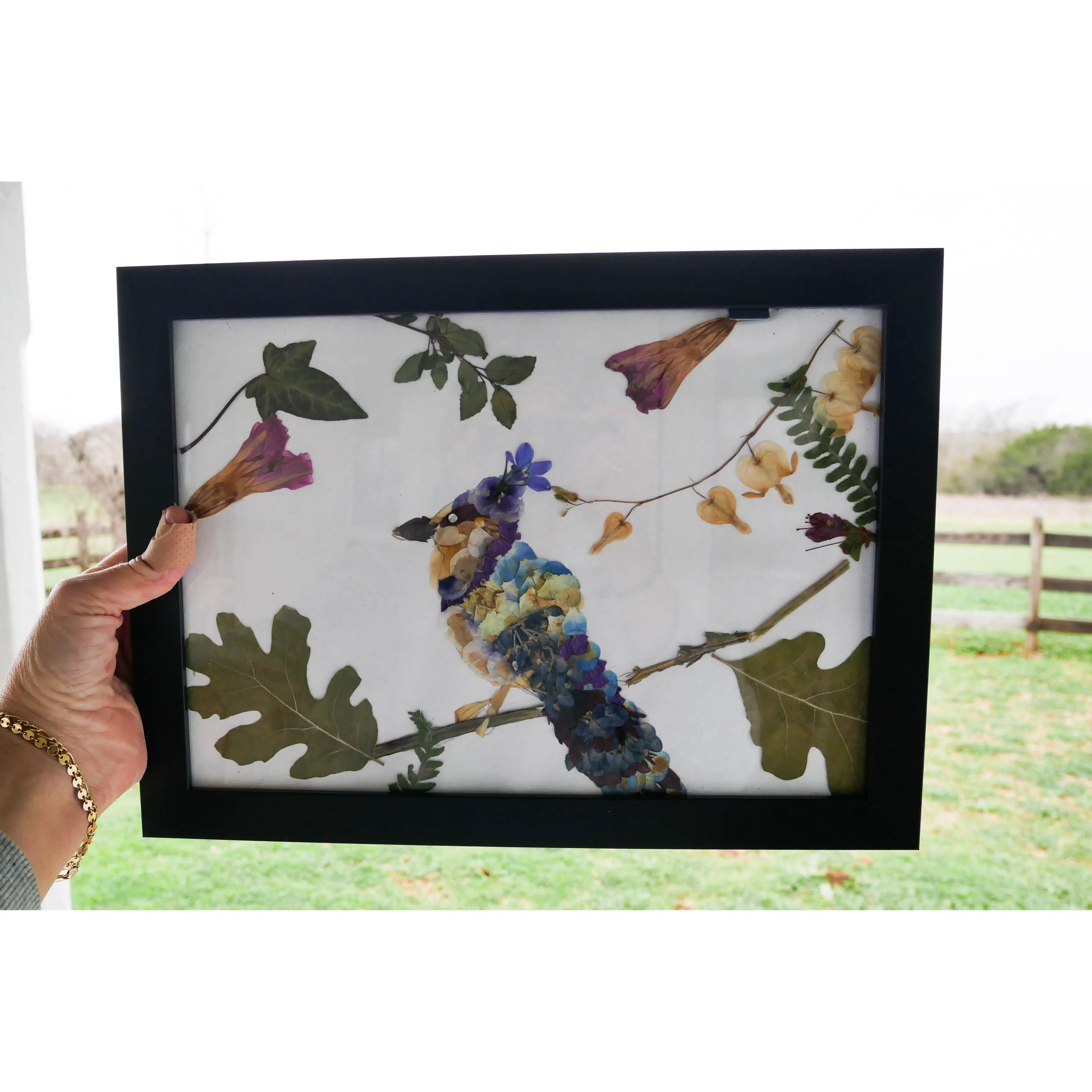 Pressed Blue Jay Art Print