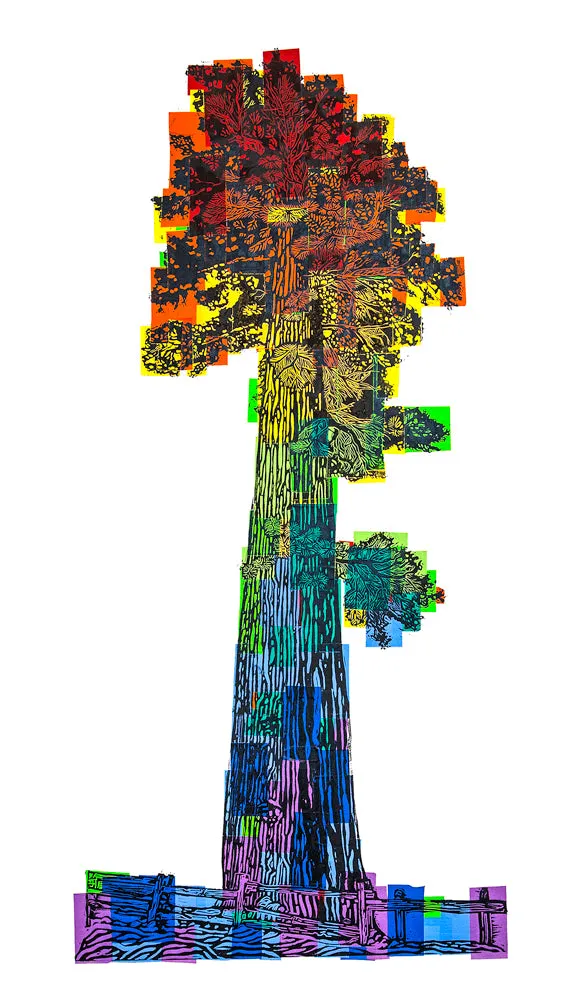 "Sequoia" Print