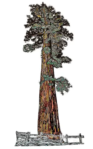 "Sequoia" Print