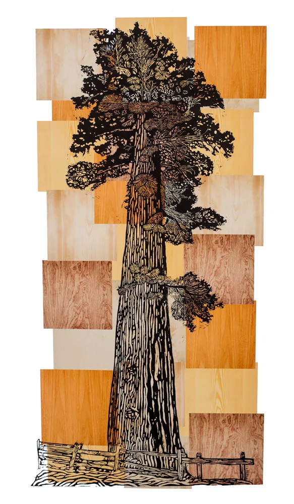 "Sequoia" Print