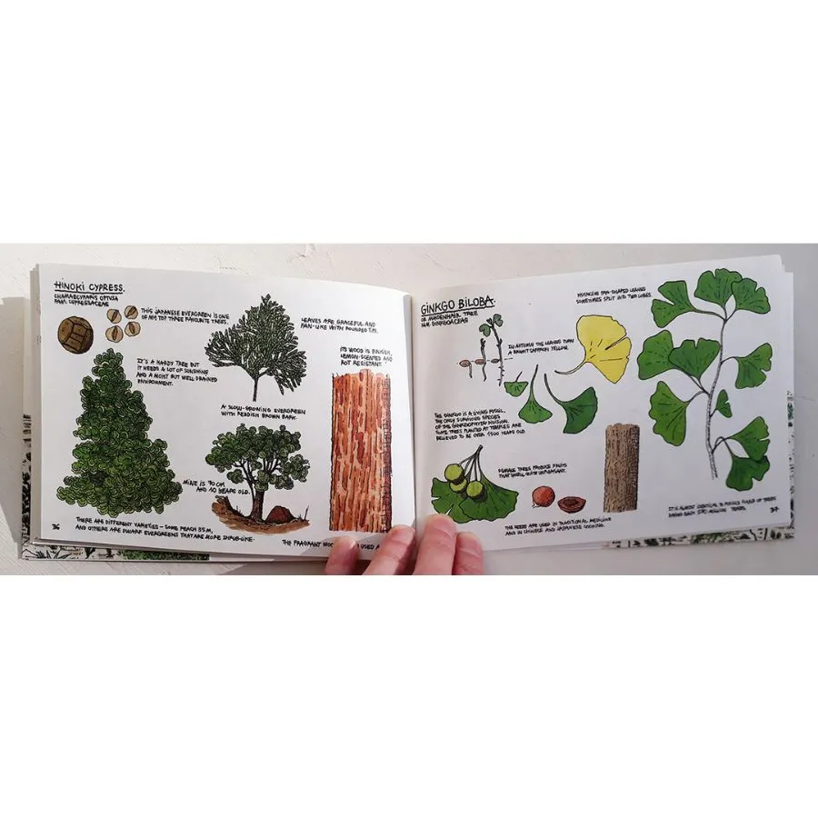 Raising a Forest