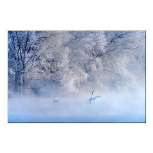 Swan Lake