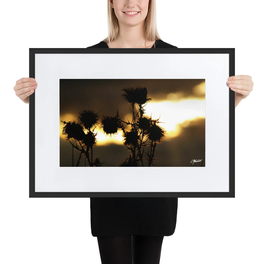 The Field of Strength Framed Print