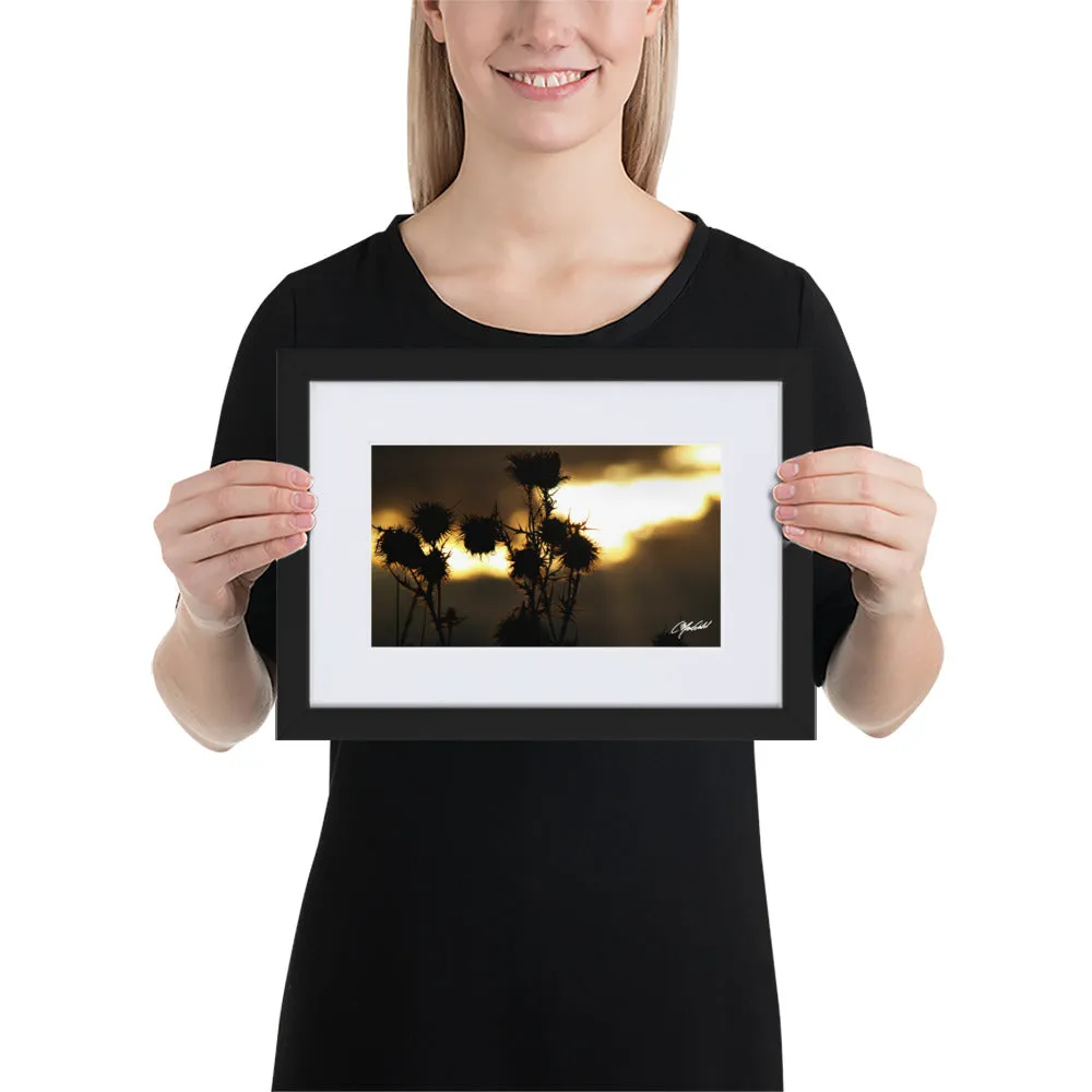 The Field of Strength Framed Print