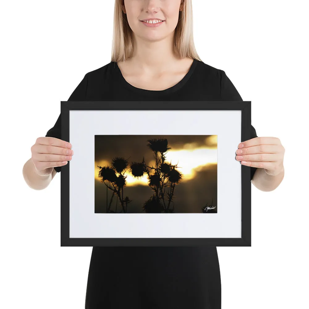 The Field of Strength Framed Print