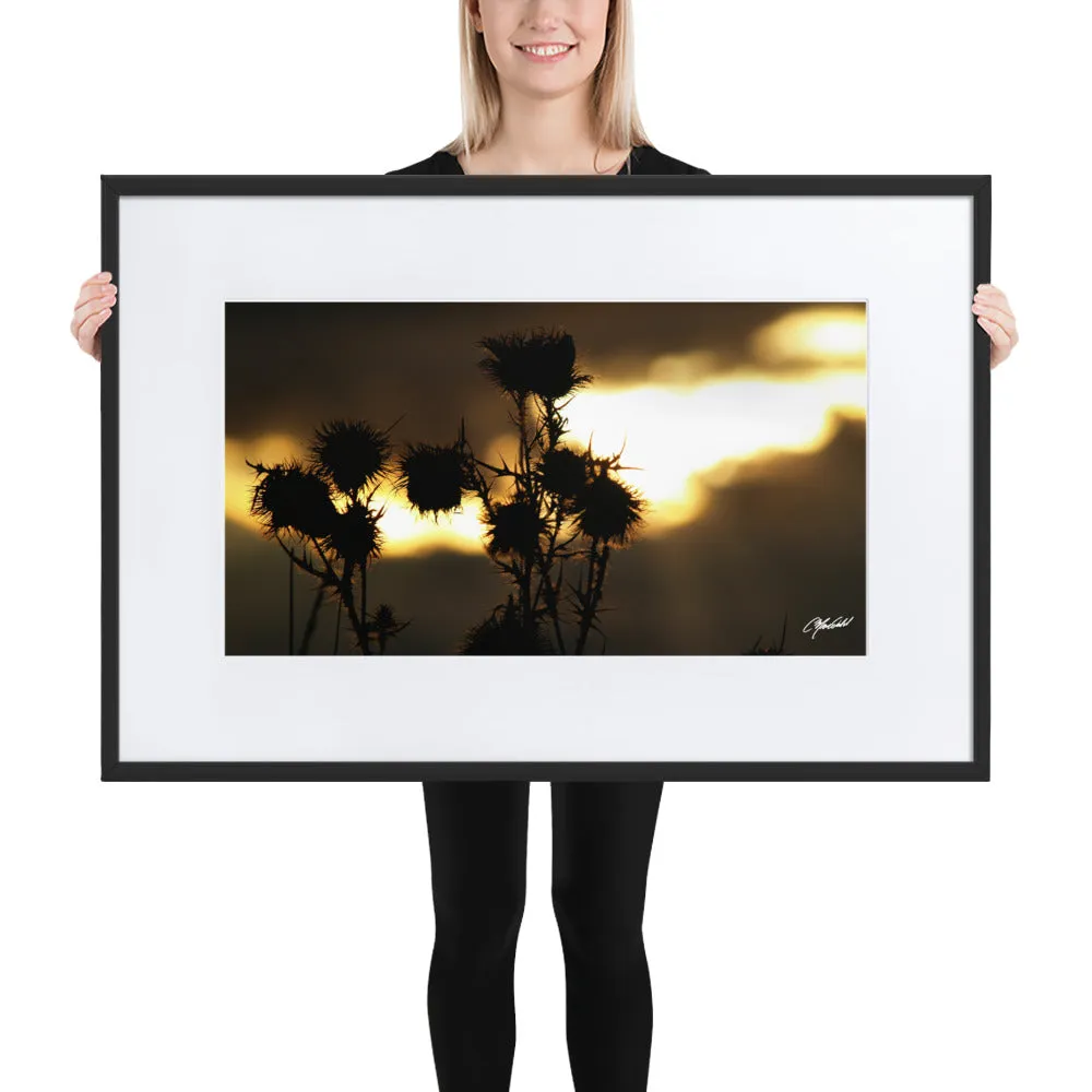 The Field of Strength Framed Print