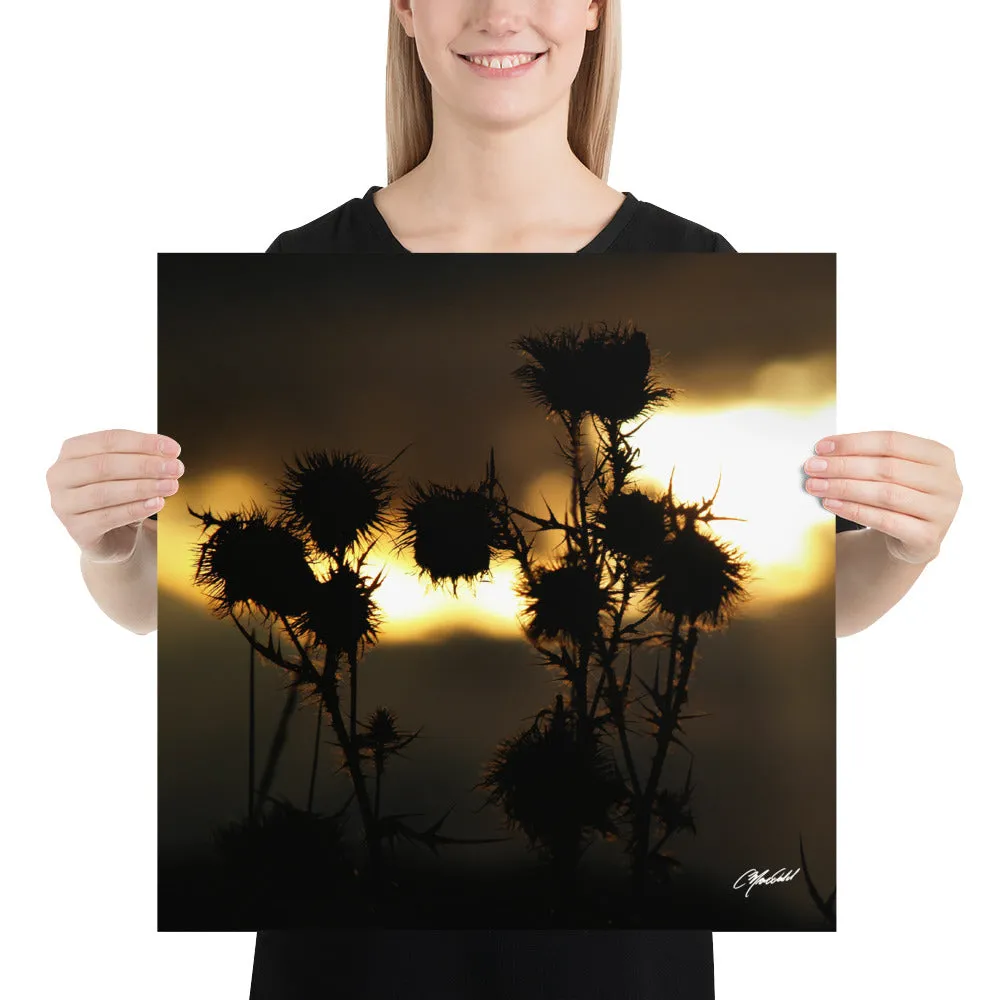 The Field of Strength Print